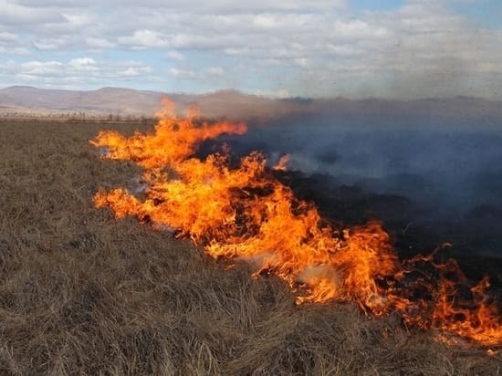 Арқалықта дала өрті сөндірілді