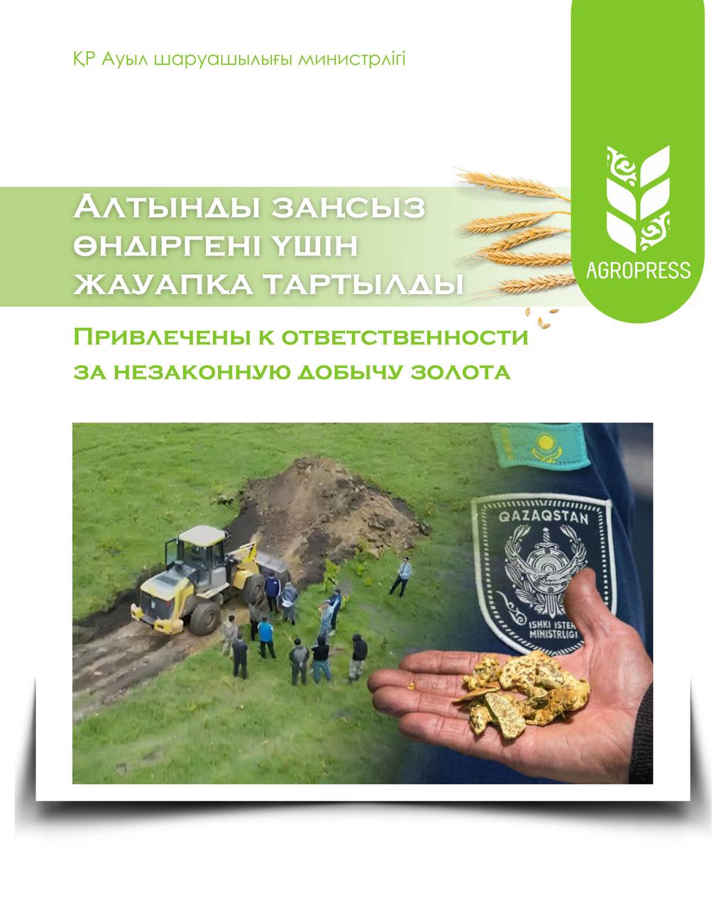 Алтынды заңсыз өндірген қостанайлық тұрғын жауапқа тартылды