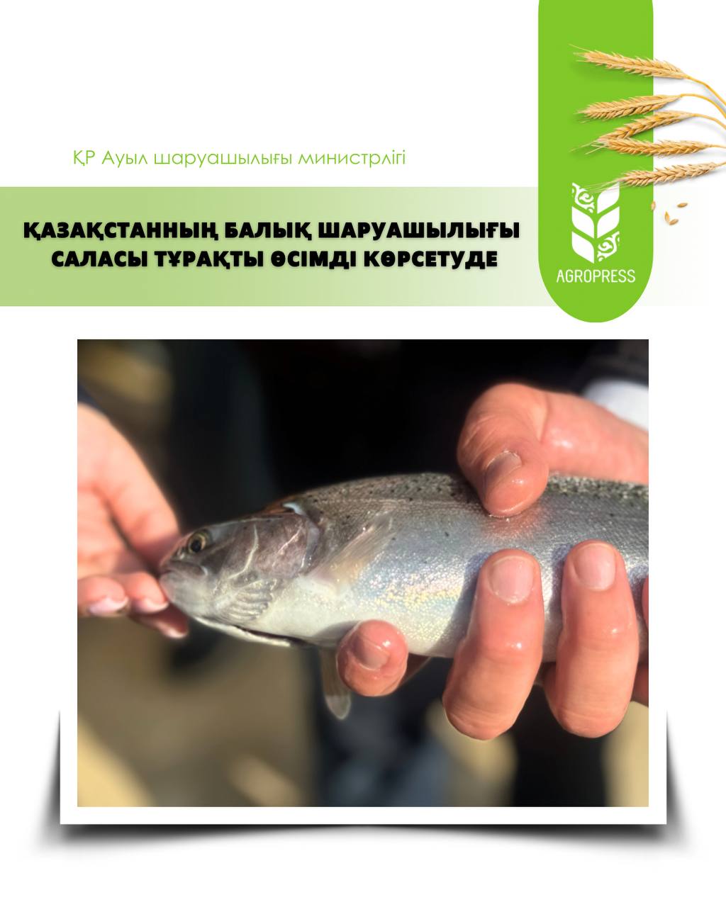 Еліміздің балық шаруашылығы саласы тұрақты өсімді көрсетуде