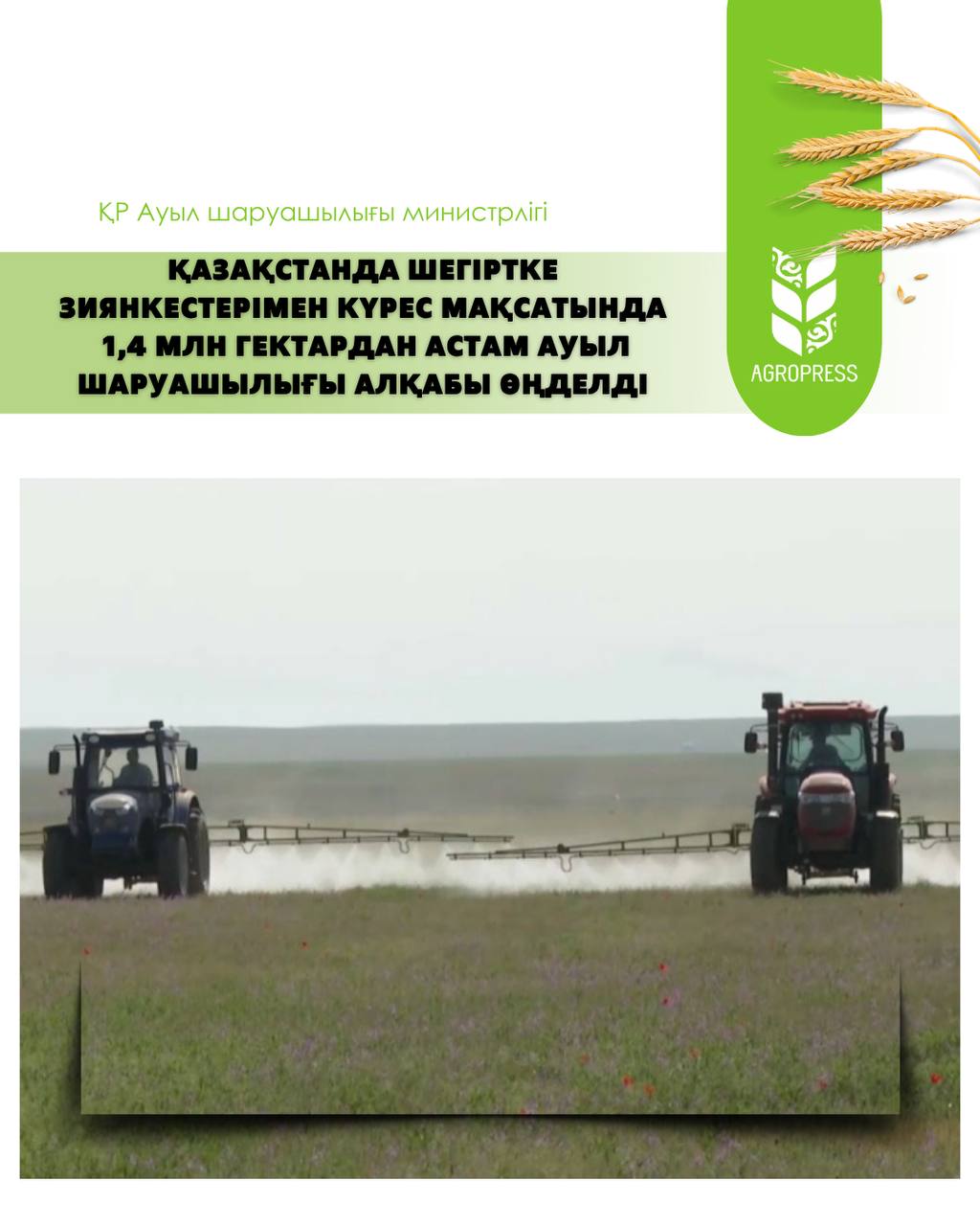 Қазақстанда шегірткемен күрес мақсатында 1,4 млн гектардан астам алқап өңделді