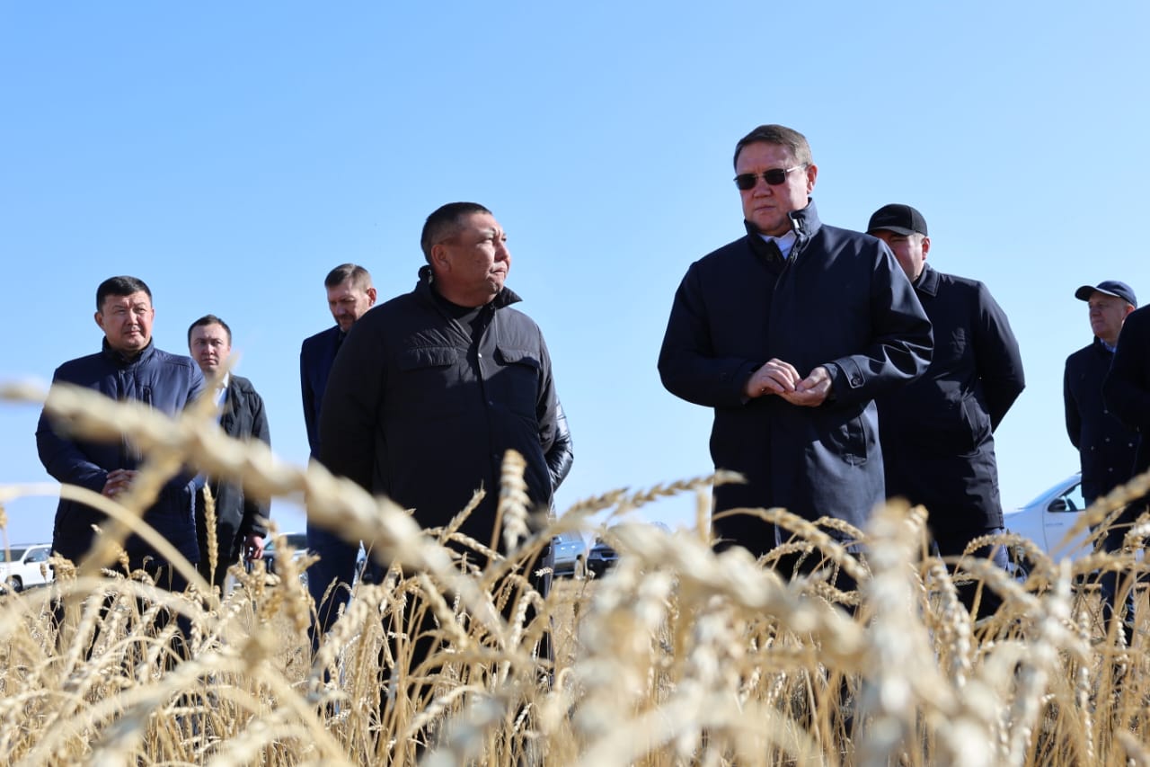 Ливанов шаруалары мемлекеттік бағдарламның жемісін көріп жатыр