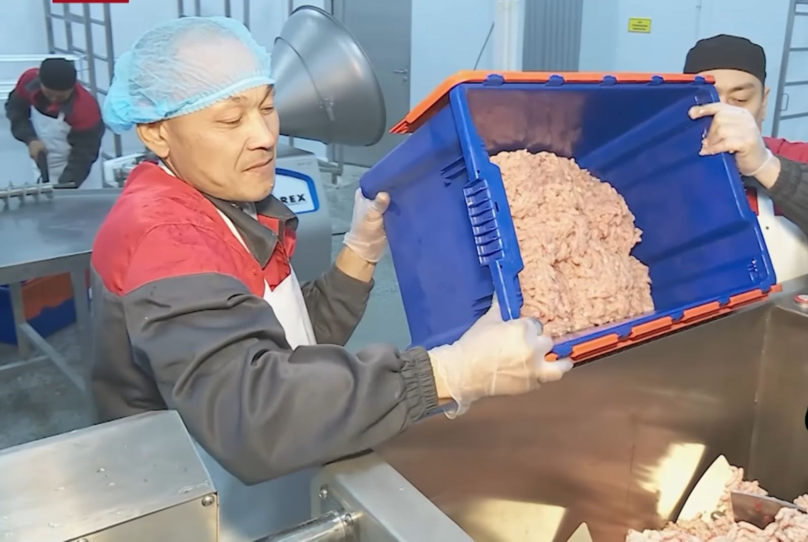 Жылқы басы көбейгенмен, импорт неге еселенді?