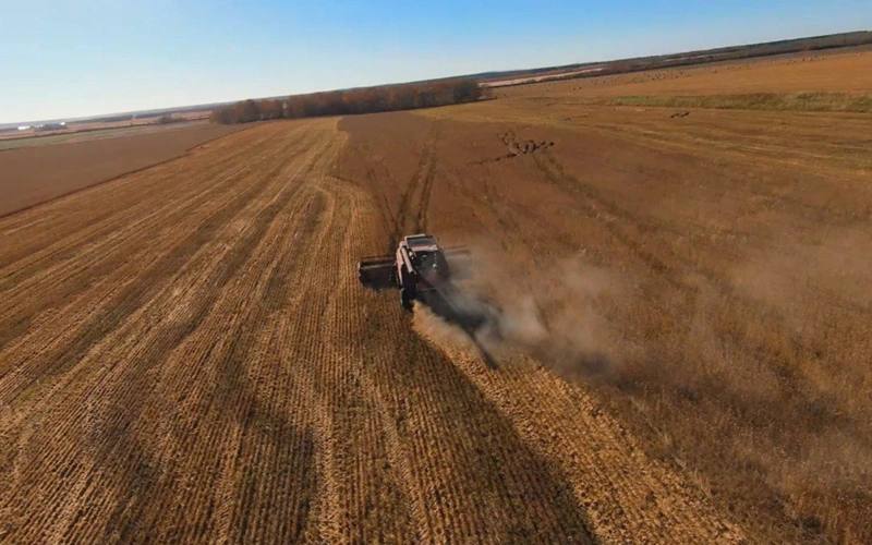 Елімізде 2026 жылғы егіс науқаны сәтті аяқталды