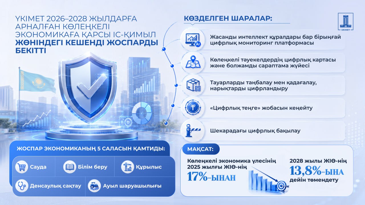 Үкімет 2028 жылға дейінгі көлеңкелі экономикаға қарсы кешенді іс-қимыл жоспарын бекітті