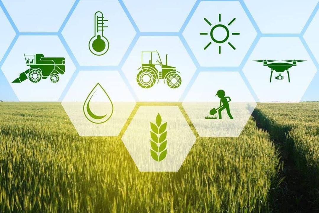 Фермерлерге қосымша мүмкіндік: егісті сақтандыруға өтінім қабылдау ұзартылды