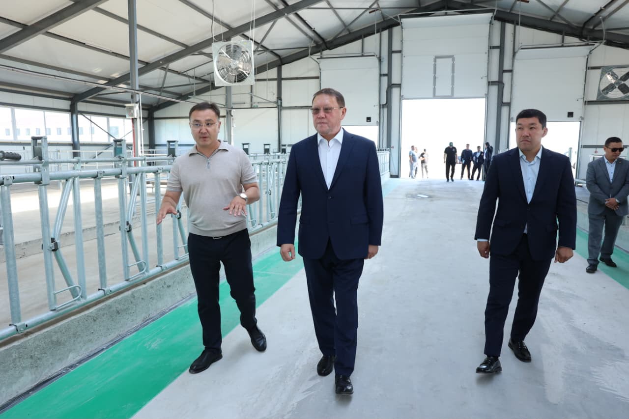 Қостанай ауданында ірі сүт-тауар фермаларының құрылысы қарқын алды