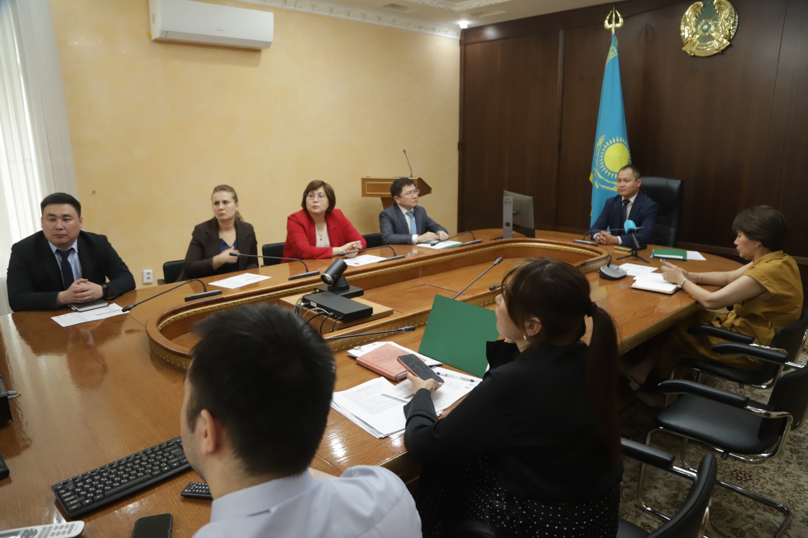 Жаңа Конституция: Орнықты дамудың институционалдық және құқықтық негізі