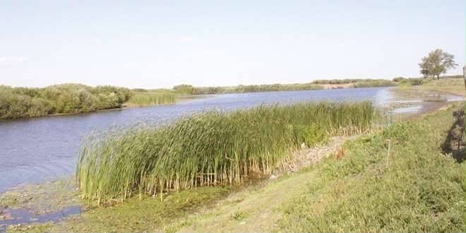 ТАРИХЫ ТЕРЕҢ АЛБАРБӨГЕТ